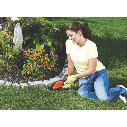 Cisailles de jardin/cisailles &agrave; haie 2-en-1, &agrave; pile, 3,6 V, Largeur de la coupe 4"/6" FMT Sales Ltd