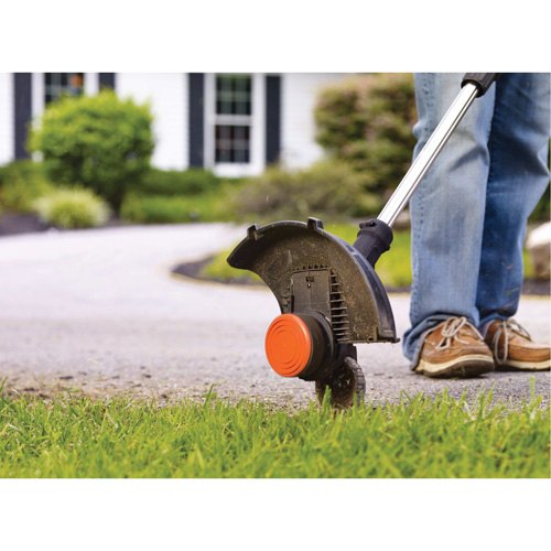 Max* Cordless 2-Speed String Trimmer/Edger Kit, 12", Battery Powered, 20 V FMT Sales Ltd