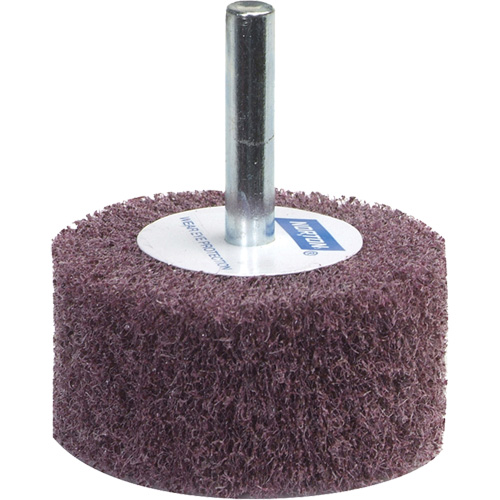 Meule &agrave; lamelles abrasives Bear-Tex FMT Sales Ltd