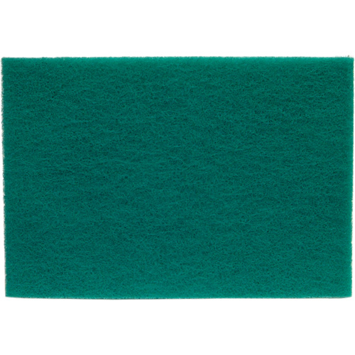 Tampons manuels Bear-Tex, Oxyde d'aluminium, 6" x 9", Grain Tr&egrave;s fin FMT Sales Ltd