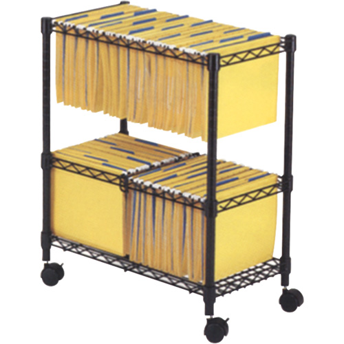 File Carts- 2-tier Rolling File Cart FMT Sales Ltd