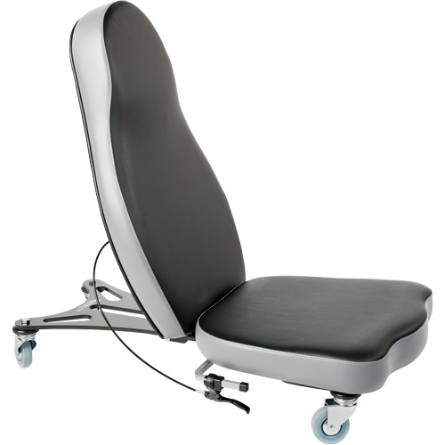 Flex 2 Ergonomic Chair, Vinyl, Black FMT Sales Ltd