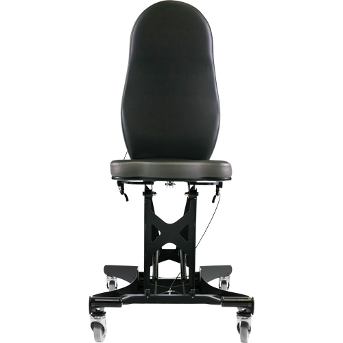 Flex III Ergonomic Chair FMT Sales Ltd