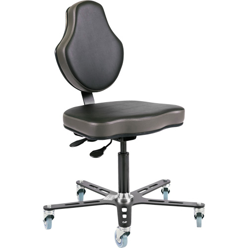 Vega Multi-Tilt Ergonomic Chair, Mobile, Adjustable Height FMT Sales Ltd