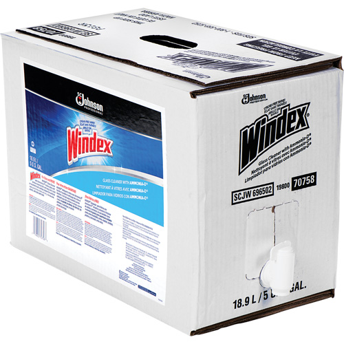 Nettoyant pour vitres Windex avec Ammoniac-D, 5 gal., Sac FMT Sales Ltd