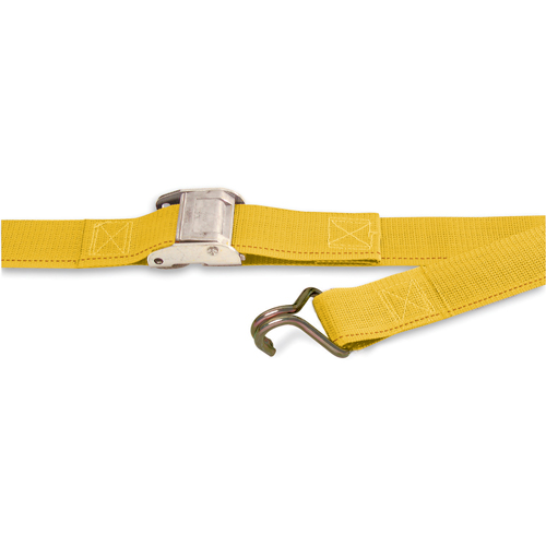 Tendeurs d'arrimage logistique, Boucle &agrave; came, 2" la x 16' lo, Charge d'utilisation 500 lb (230 kg) FMT Sales Ltd