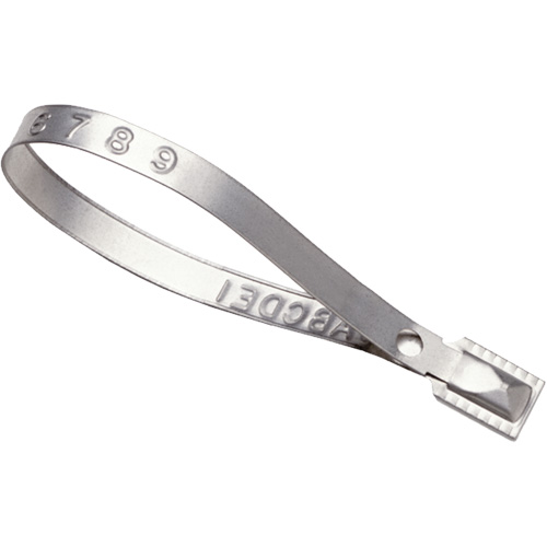 Scell&eacute;s Guard Lock, 8-3/8", M&eacute;tal, Scell&eacute; pour camion FMT Sales Ltd