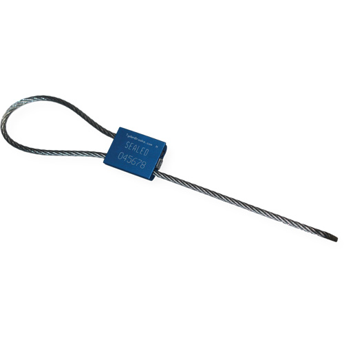 Scell&eacute; de s&eacute;curit&eacute; &agrave; c&acirc;ble Flexsecure FS35, 12", M&eacute;tal, Scell&eacute; &agrave; c&acirc;ble FMT Sales Ltd