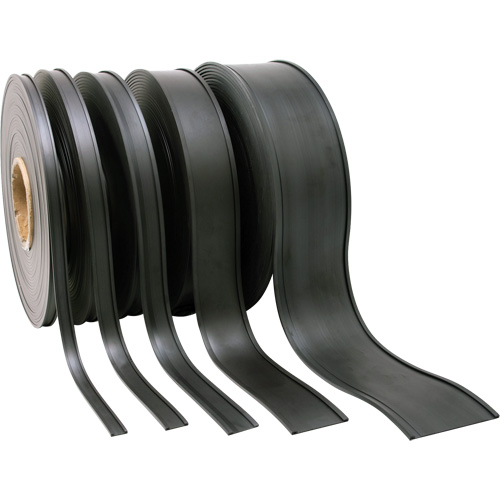 Porte-&eacute;tiquette, Magn&eacute;tique, 600" lo x 2" la FMT Sales Ltd