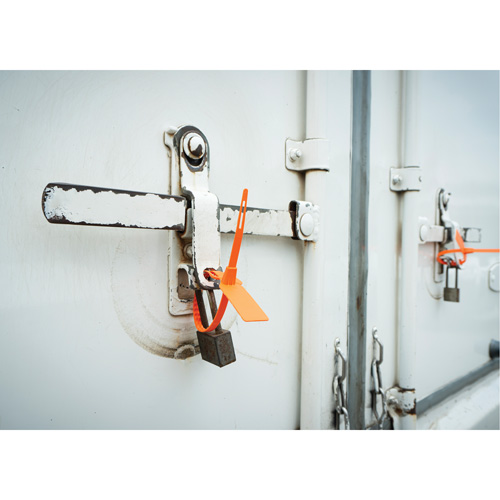 Scell&eacute; de s&eacute;curit&eacute;, 7-3/4", Plastique, Scell&eacute; pour camion FMT Sales Ltd