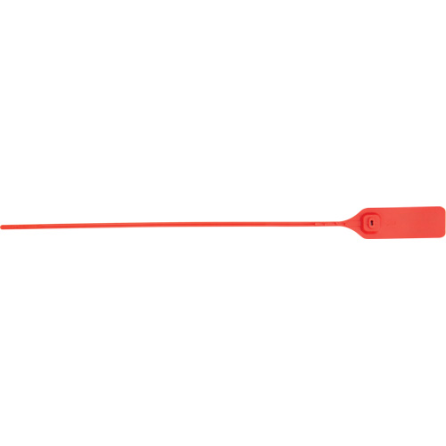 Scell&eacute; de s&eacute;curit&eacute; robuste, 13", Plastique, Scell&eacute; &agrave; tirer FMT Sales Ltd