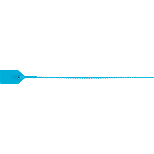 Scell&eacute; de s&eacute;curit&eacute; standard, 12", Plastique, Scell&eacute; en plastique FMT Sales Ltd