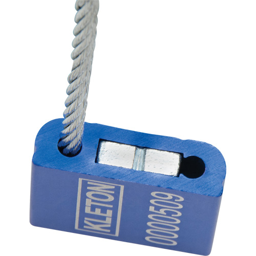 Scell&eacute;s de haute s&eacute;curit&eacute;, 12", M&eacute;tal, Scell&eacute; &agrave; c&acirc;ble FMT Sales Ltd