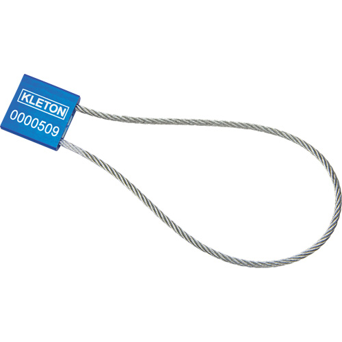 Scell&eacute;s de haute s&eacute;curit&eacute;, 12", M&eacute;tal, Scell&eacute; &agrave; c&acirc;ble FMT Sales Ltd