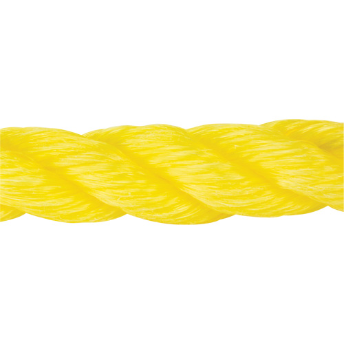 Corde jaune tress&eacute;e, Polypropyl&egrave;ne, 300' FMT Sales Ltd
