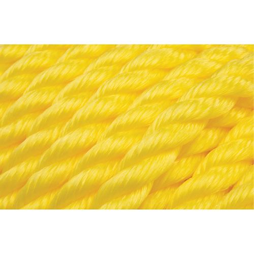 Corde jaune tress&eacute;e, Polypropyl&egrave;ne, 144' FMT Sales Ltd