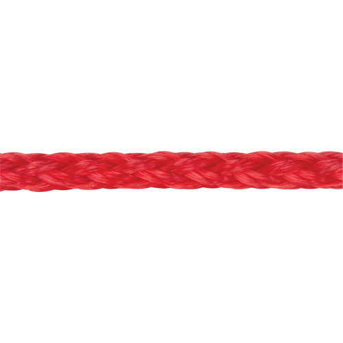 Corde rouge tress&eacute;e, Polypropyl&egrave;ne, 500' FMT Sales Ltd