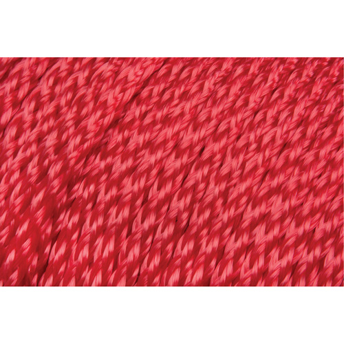Corde rouge tress&eacute;e, Polypropyl&egrave;ne, 500' FMT Sales Ltd