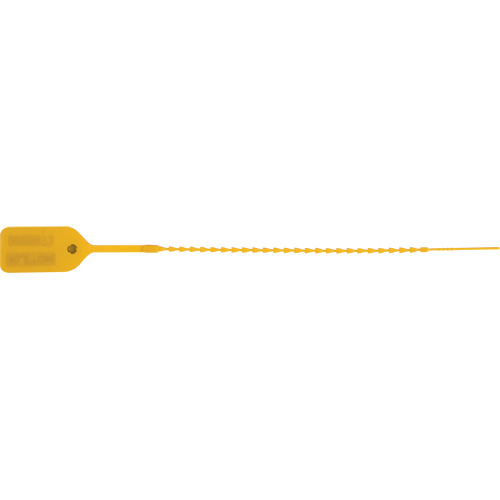 Scell&eacute; de s&eacute;curit&eacute; standard, 9", Plastique, Pousser et tirer FMT Sales Ltd