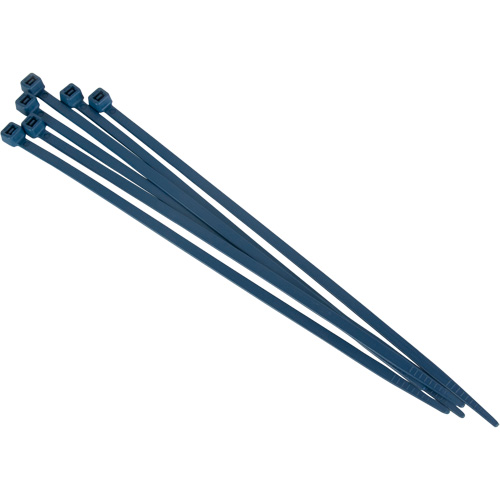 Attache-c&acirc;bles d&eacute;tectables par d&eacute;tecteur de m&eacute;taux, 15" lo, R&eacute;sistance &agrave; la traction 120 lb FMT Sales Ltd
