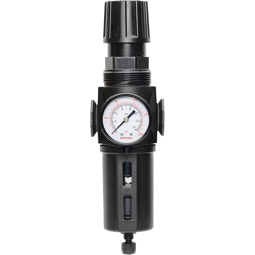 Filtre/r&eacute;gulateur drain manuel avec bol standard Modulair 300, 1/4" NPT, 150 psi, Capacit&eacute; de 5,1 oz liq. FMT Sales Ltd