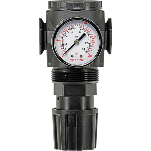 Regulator with Gauge Modulair 300, 1/4" NPT, 300 psi Max. PSI, In Line/Modular FMT Sales Ltd