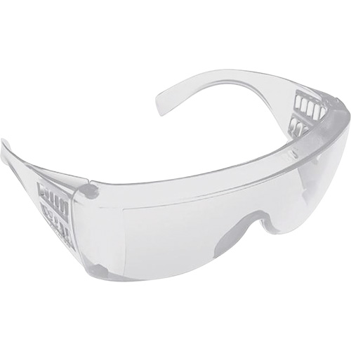Lunettes pour visiteurs, Lentille Transparent, Anti-&eacute;gratignures/Polaris&eacute;, ANSI Z87+/R&eacute;pond ou surpasse la norme CSA Z94.3 FMT Sales Ltd