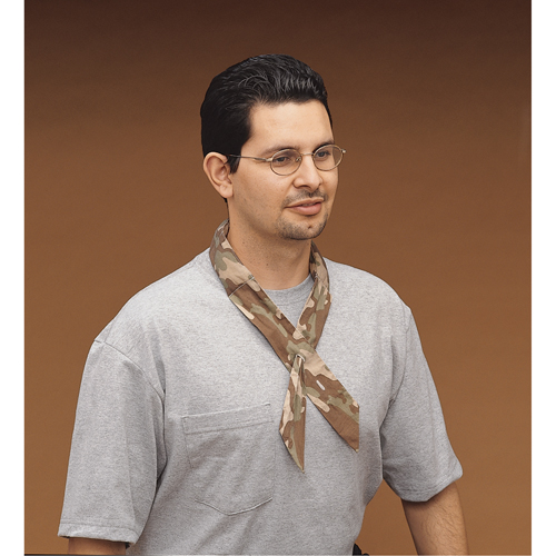 ALLEGRO INDUSTRIES Cool Offs Bandana, Multi-Colour FMT Sales Ltd