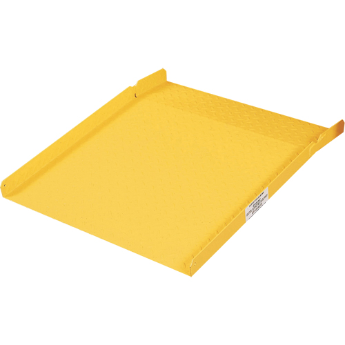 Drum Cabinet Ramp for Sure-Grip&reg; Ex Safety Cabinet FMT Sales Ltd