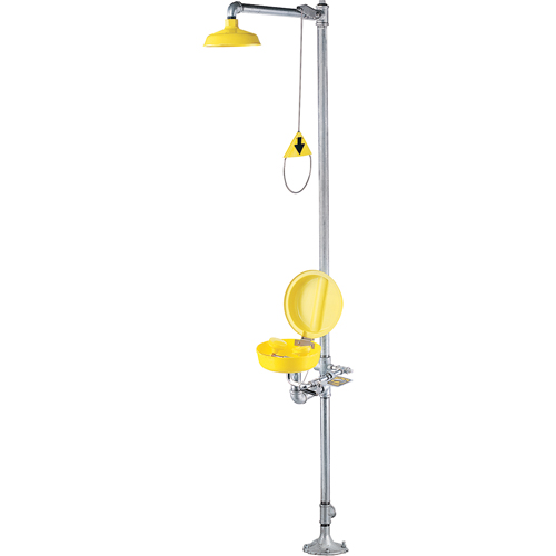 Combination Shower Eye/Face Wash With Cover FMT Sales Ltd