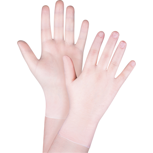 Disposable Gloves, X-Large, Vinyl, 4.5-mil, Powder-Free, Clear, Class 2 FMT Sales Ltd