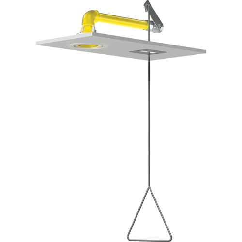 Horizontal Supply Emergency Shower Stations, Ceiling-Mount FMT Sales Ltd