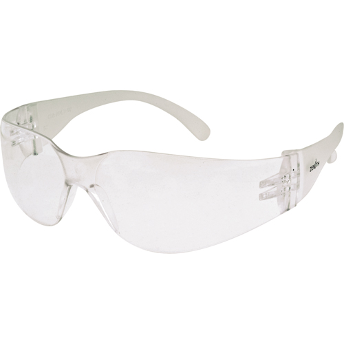 Z600 Series Safety Glasses, Clear Lens, Anti-Fog/Anti-Scratch, ANSI Z87+/Meets/Exceeds CSA Z94.3 FMT Sales Ltd