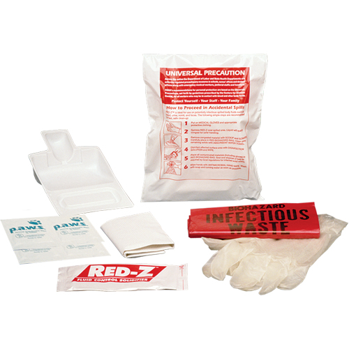 Fluid Spill Clean-Up Kit, Hazmat, Bag FMT Sales Ltd