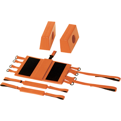Head Immobilizers FMT Sales Ltd