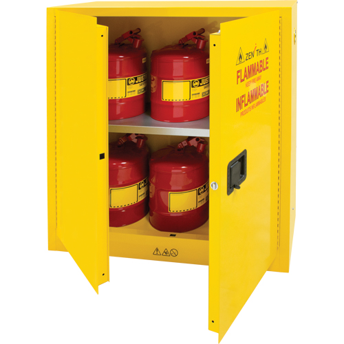 Armoire pour produits inflammables, 30 gal., 2 Porte(s), 43" La x 44" h x 18" p FMT Sales Ltd