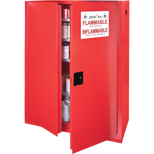 Armoire pour peintures et encres, 60 gal., 5 tablettes FMT Sales Ltd