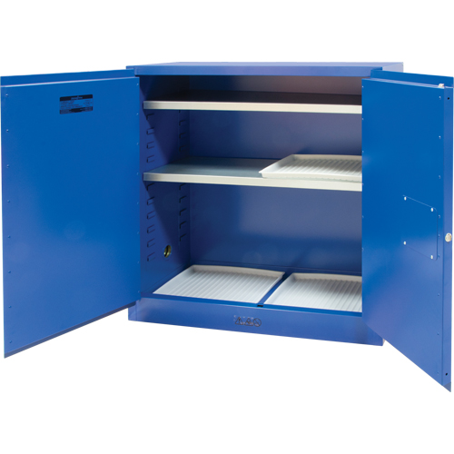 Corrosive Liquids Cabinet, 30 gal., 43" x 44" x 18" FMT Sales Ltd