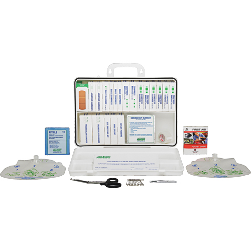 Specialty First Aid Kit, Class 1 Medical Device, Plastic Box FMT Sales Ltd