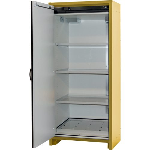 30-Minute EN Safety Storage Cabinet, 30 gal., 1 Door, 34.02" W x 76.65" H x 24.21" D FMT Sales Ltd
