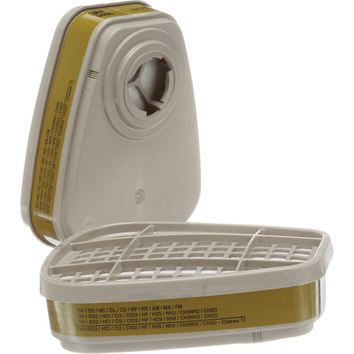 Cartouches pour respirateur s&eacute;rie 6000, Cartouche gaz/vapeur, Gaz multiples/Vapeurs FMT Sales Ltd