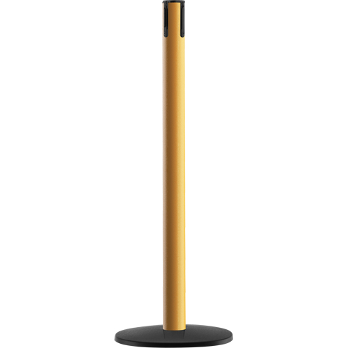Syst&egrave;me Advance TensaBarrier - Poteau r&eacute;cepteur, Hauteur de 36", Jaune FMT Sales Ltd