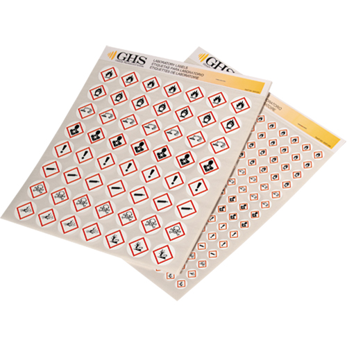 Assortiment d'&eacute;tiquettes avec pictogrammes sgh, Vinyle, Feuille, 1" lo x 1" la FMT Sales Ltd