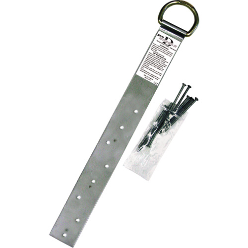 Ancrage simple pour toiture Miller, Anneau en D, Usage Permanent FMT Sales Ltd