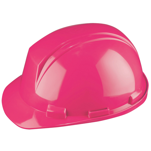 Dynamic Mont-Blanc Hardhat, Meets CSA Type 2, Pinlock Suspension, Non-Vented FMT Sales Ltd