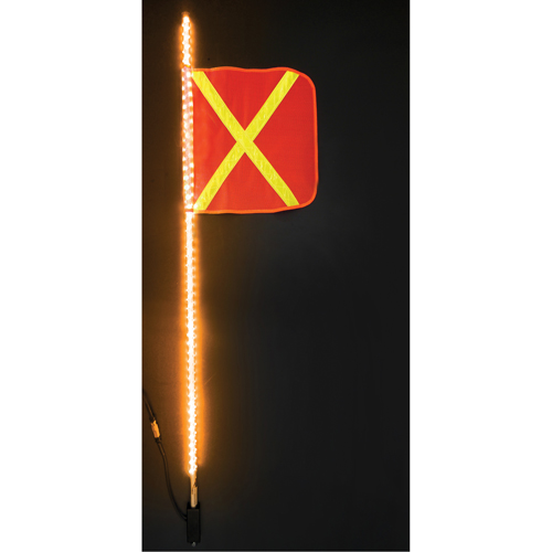 Safety Whip&reg; Heavy-Duty LED Whips, Hitch Mount, 5 High, Orange with Reflective FMT Sales Ltd
