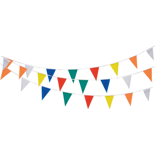 Pennant String, 60' L, Multicolour FMT Sales Ltd