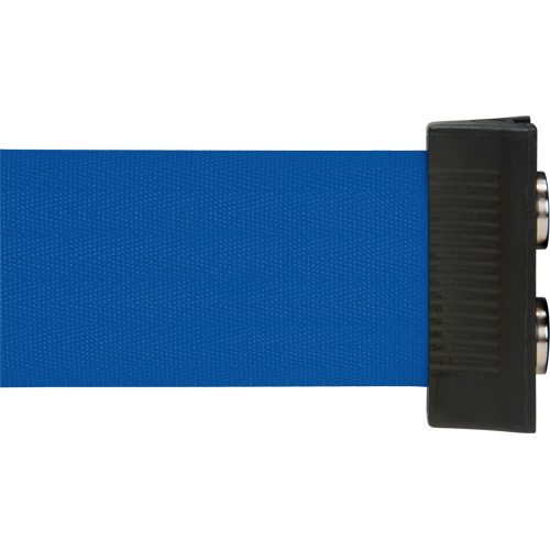 Barri&egrave;re &agrave; fixation murale avec ruban magn&eacute;tique, Acier, Fixation par vis, 7', Ruban Bleu FMT Sales Ltd