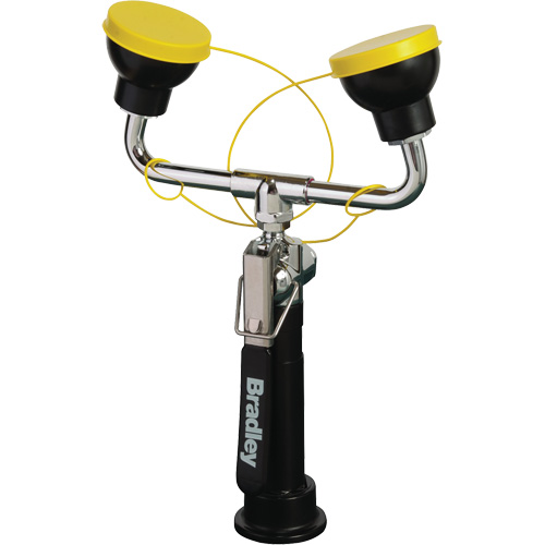 Face/Eyewash Hose Spray with Dual Sprayheads, Counter-Mount Installation FMT Sales Ltd