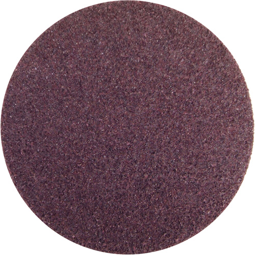 Rapid Prep Non-Woven Abrasive Disc, 5" Dia., Fine Grit, Aluminum Oxide FMT Sales Ltd